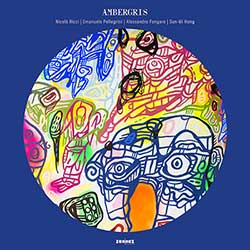 Nicolò Ricci – Ambergris (vinyl)