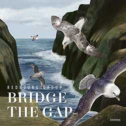 Redbourg Group - Bridge the gap (audio cd)