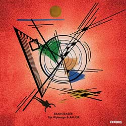 Tijn Wybenga & AM.OK – Brainteaser (vinyl)